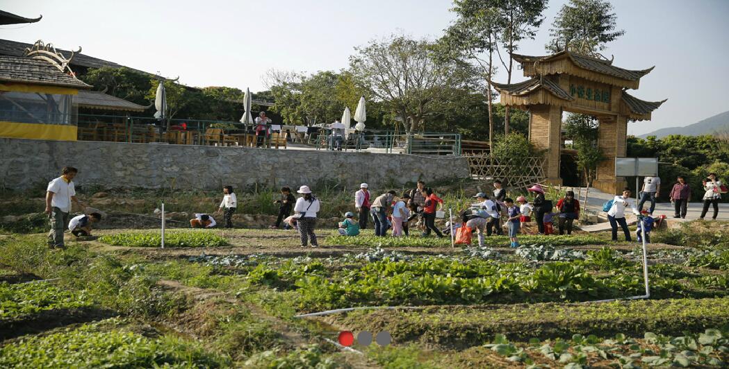 春暖花開，我們?nèi)ゴ河危?></div>
            </a></li>
                    <li id=